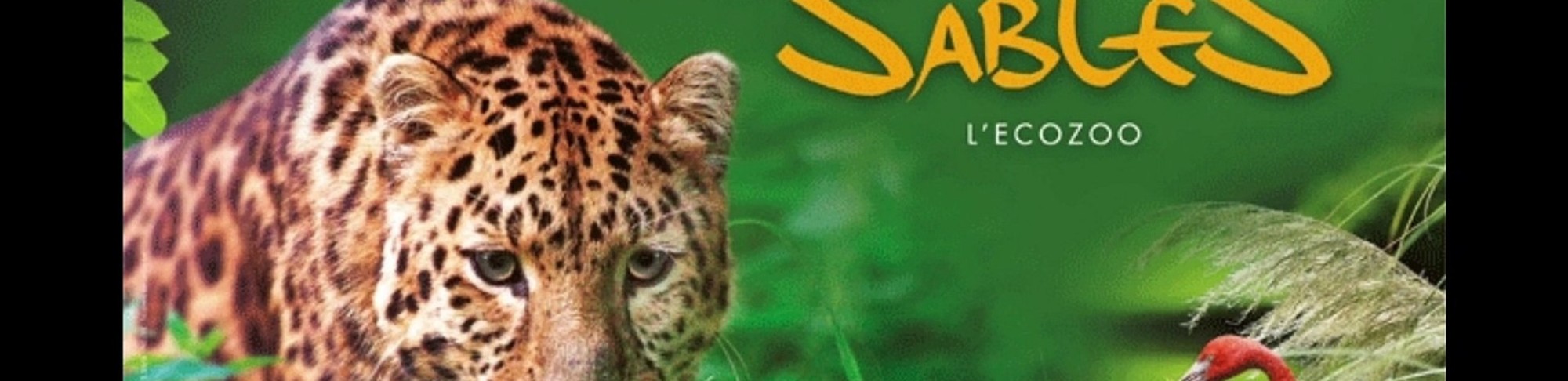 La Croix des Fontenelles - Zoo des Sables d’Olonne